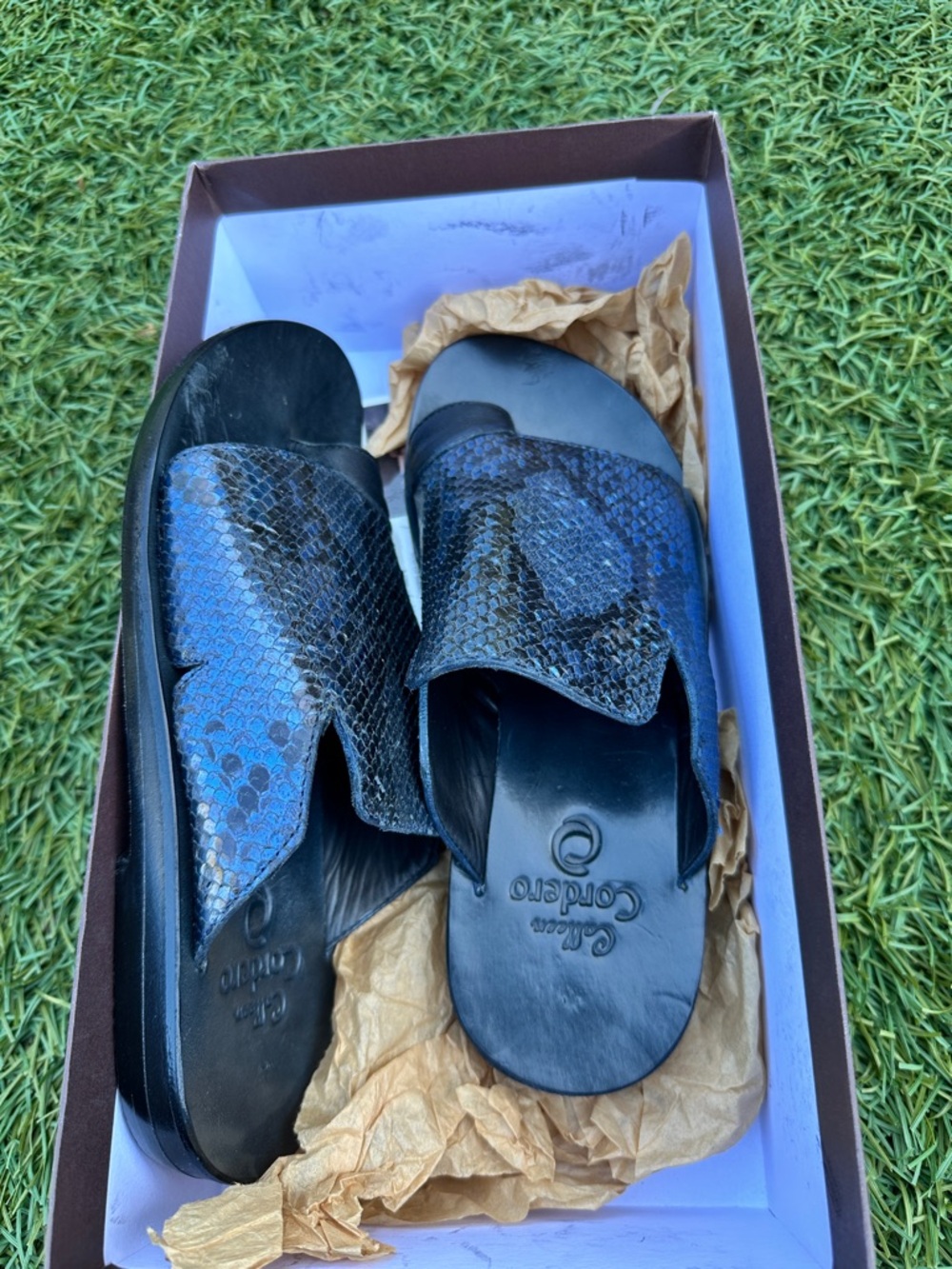 Colleen Cordero Black & Blue Snake-Print Slide Sandals